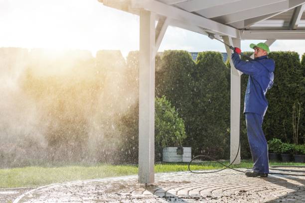 Best Driveway Pressure Washing  in Ridgely, MD