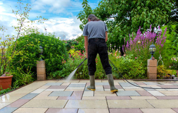 Best Fence Cleaning  in Ridgely, MD