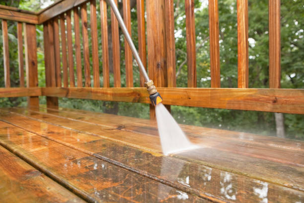 Best Solar Panel Cleaning  in Ridgely, MD